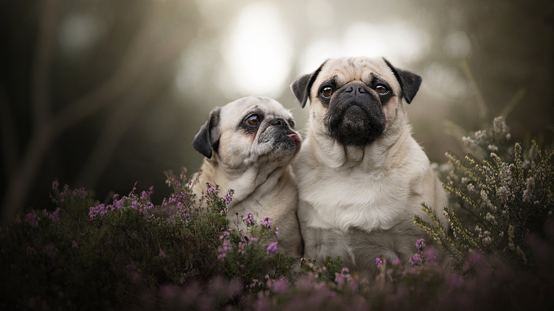 “未来领跑者”青少年篮球联赛在上海完美收官，众多新星崭露头角