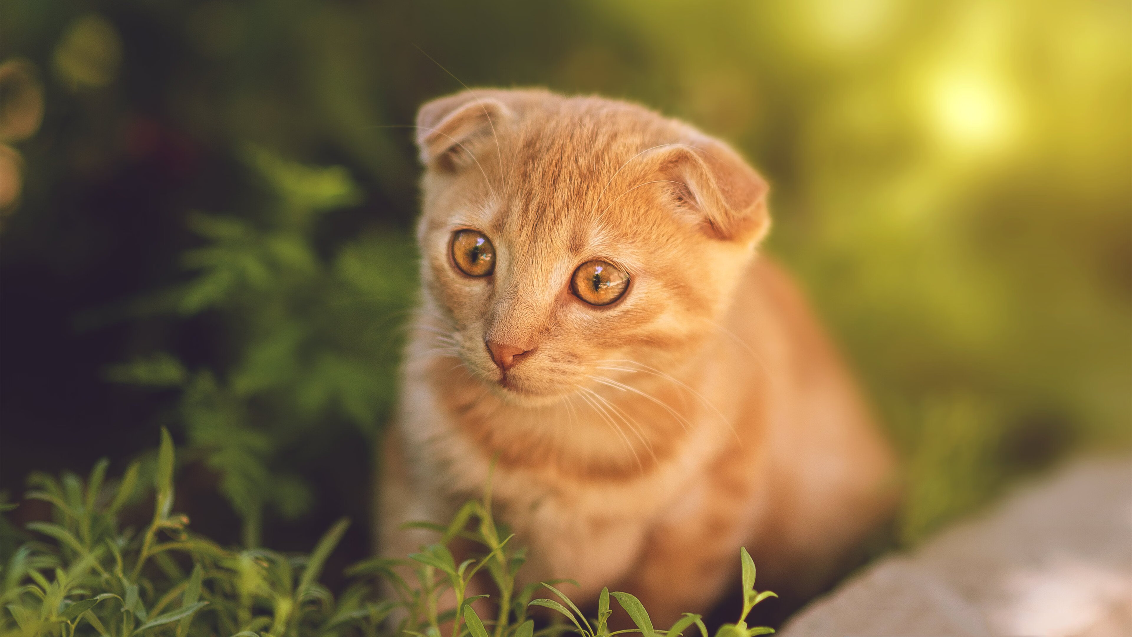 “未来领跑者”青少年篮球联赛在上海完美收官，众多新星崭露头角