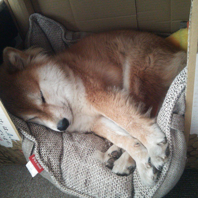 开云网站-周泓余在女子围棋名人战中表现出色，晋级8强，周泓余学棋经历